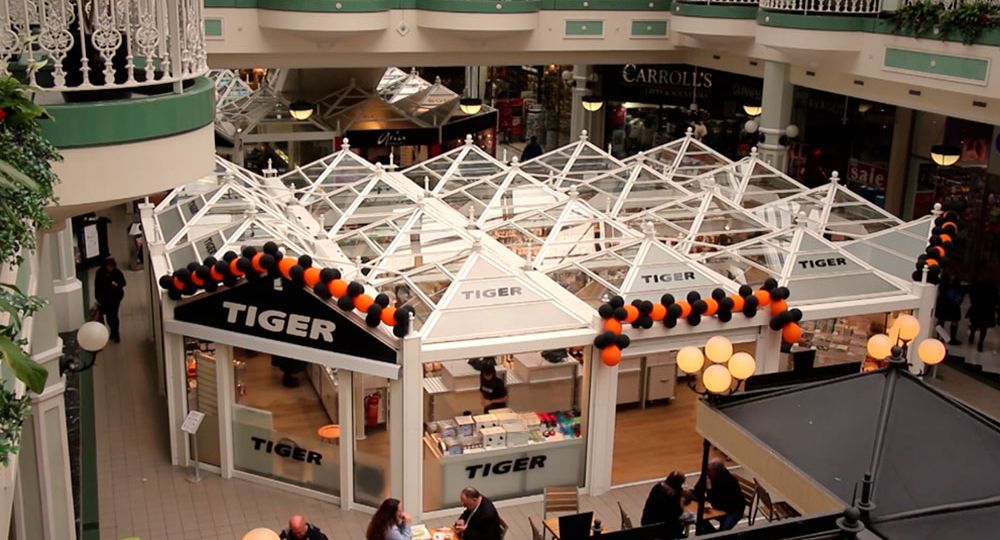 tiger_featured-image