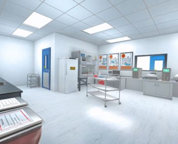 A VR laboratory environment used for training